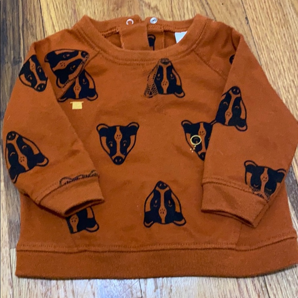 Rust Raccoon Sweatshirt